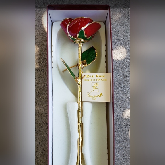 Red Rose - Picture 1 of 2